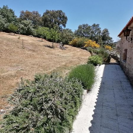 Rosas Da Granja - Casa De Campo Granja (Vila Real) Exterior foto