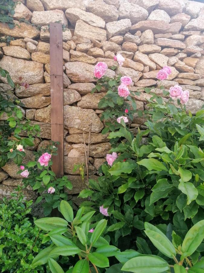 Rosas Da Granja - Casa De Campo Granja (Vila Real) Exterior foto