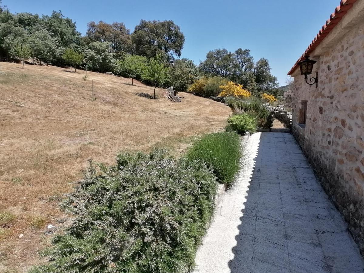 Rosas Da Granja - Casa De Campo Granja (Vila Real) Exterior foto